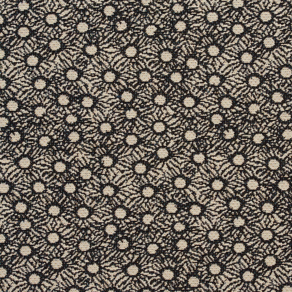 10700-03 Abstract & Geometric nan Black Charlotte Select