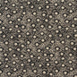 10700-03 Abstract & Geometric nan Black Charlotte Select