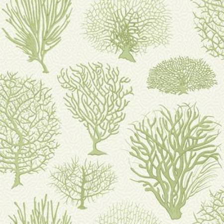 107/2008-CS SEAFERN Soft Green Cole & Son Wallpaper