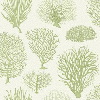 107/2008-CS SEAFERN Soft Green Cole & Son Wallpaper