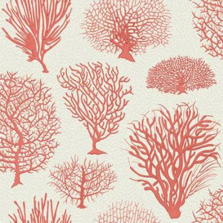 107/2011-CS SEAFERN Coral Cole & Son Wallpaper