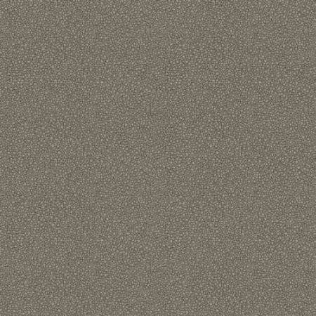 107/9043-CS GOLDSTONE Black Silver Cole & Son Wallpaper