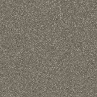 107/9043-CS GOLDSTONE Black Silver Cole & Son Wallpaper