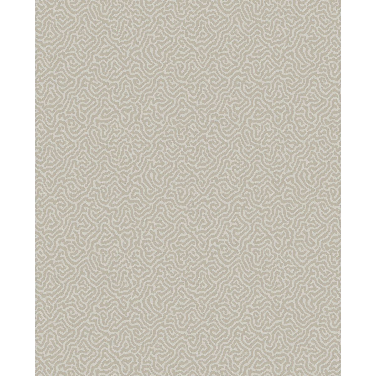 107/4019-CS VERMICELLI Stone Cole & Son Wallpaper
