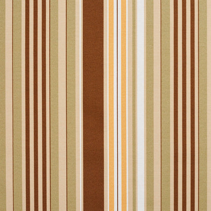 10810-03 Stripe nan Brown,Green Charlotte Select