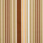 10810-03 Stripe nan Brown,Green Charlotte Select