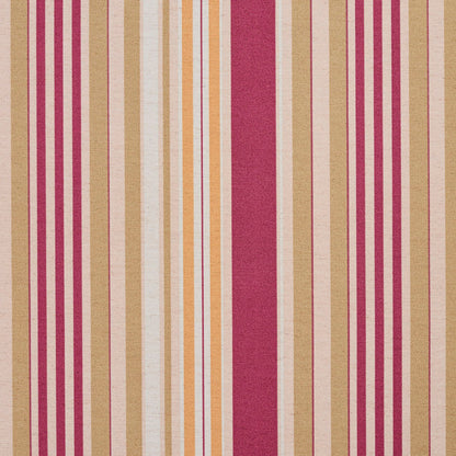 10810-04 Stripe nan Purple Charlotte Select