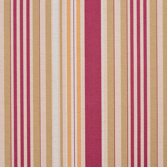 10810-04 Stripe nan Purple Charlotte Select