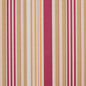 10810-04 Stripe nan Purple Charlotte Select