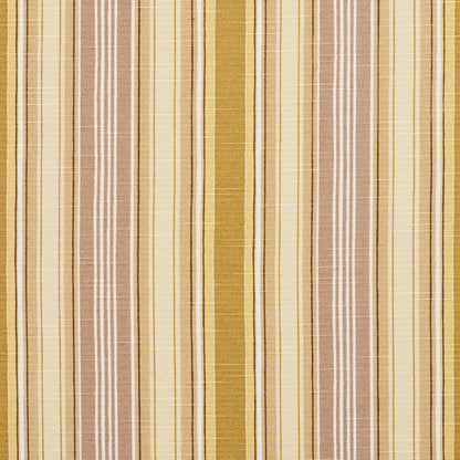 10860-02 Stripe nan Brown,Gold & Yellow Charlotte Select