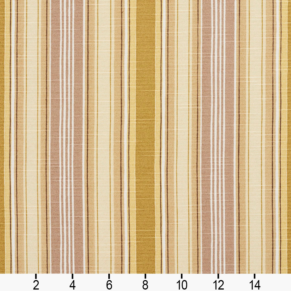 10860-02 Stripe nan Brown,Gold & Yellow Charlotte Select