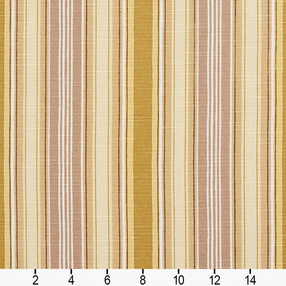 10860-02 Stripe nan Brown,Gold & Yellow Charlotte Select