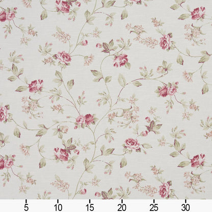 10890-02 Floral nan Pink Charlotte Select