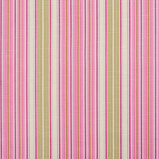 10900-01 Stripe nan Pink Charlotte Select