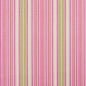 10900-01 Stripe nan Pink Charlotte Select
