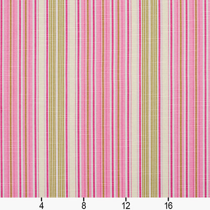 10900-01 Stripe nan Pink Charlotte Select