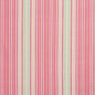 10900-03 Stripe nan Pink Charlotte Select
