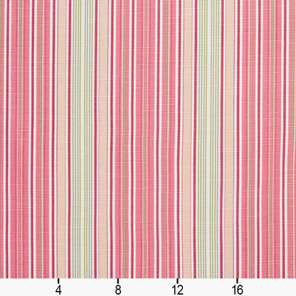 10900-03 Stripe nan Pink Charlotte Select
