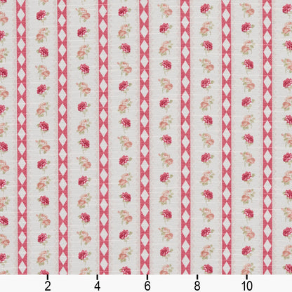 10920-03 Small Scale,Stripe nan Pink Charlotte Select
