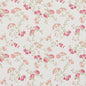 10930-03 Floral nan Pink Charlotte Select