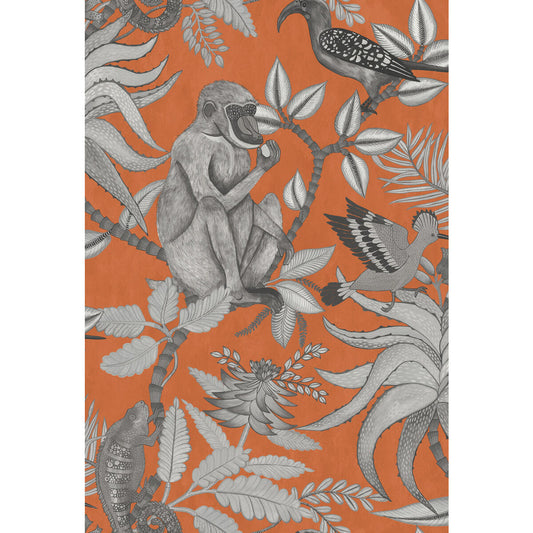 109/1001-CS SAVUTI ORANGE COLE & SON Wallpaper