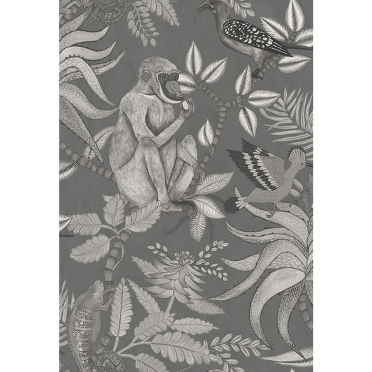 109/1002-CS SAVUTI CHARCOAL COLE & SON Wallpaper