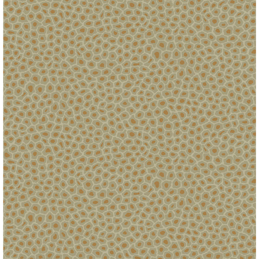 109/6029-CS SENZO SPOT OLIVE COLE & SON Wallpaper