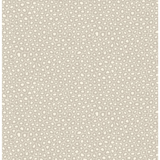 109/6030-CS SENZO SPOT STONE & WHITE COLE & SON Wallpaper