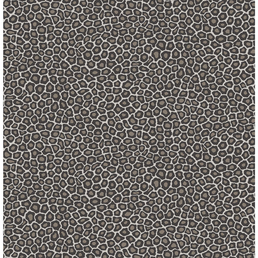109/6031-CS SENZO SPOT BLACK & WHITE COLE & SON Wallpaper