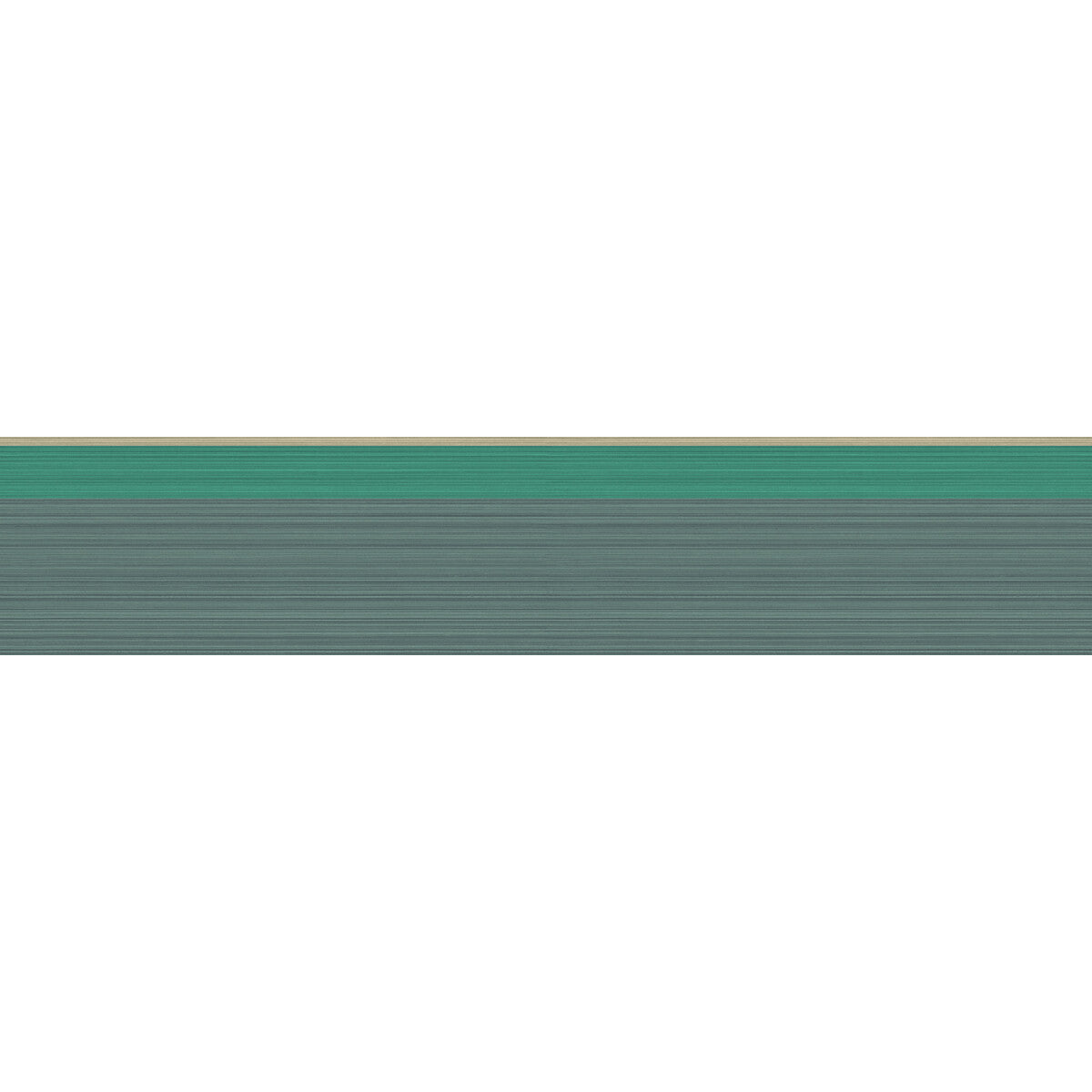 110/10049-CS JASPE BORDER VIRIDIAN/GILVER COLE & SON Wallpaper