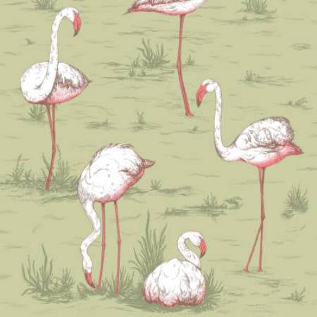 112/11038-CS FLAMINGOS Olive Cole & Son Wallpaper