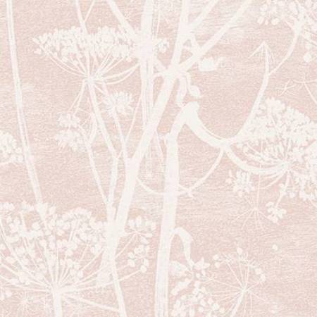 112/8028-CS COW PARSLEY Plaster Pink Cole & Son Wallpaper