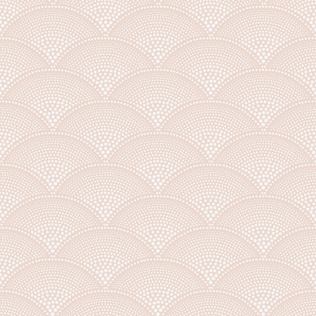 112/10035-CS FEATHER FAN Plaster Pink Cole & Son Wallpaper