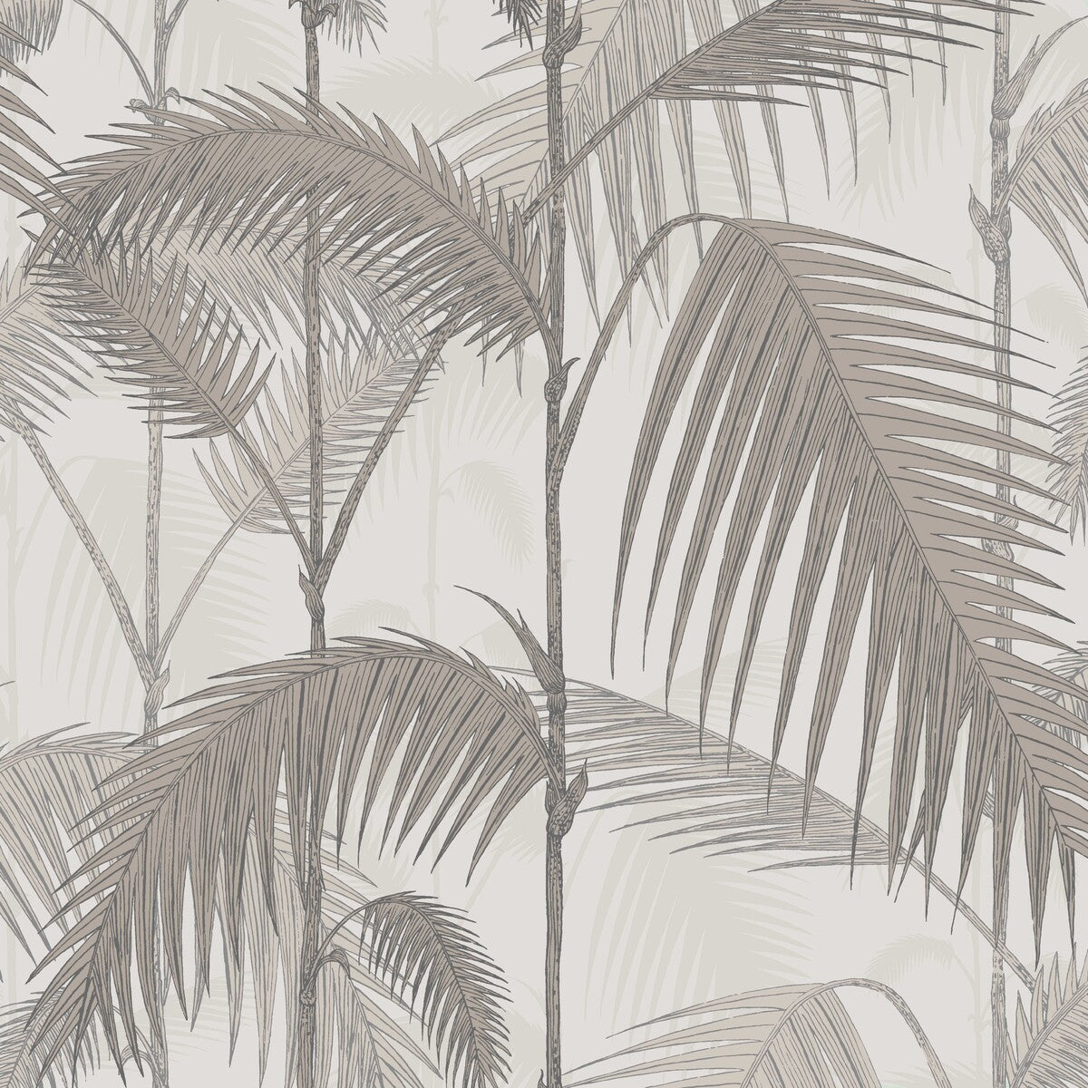 112/1004-CS PALM JUNGLE STONE/TAUPE COLE & SON Wallpaper