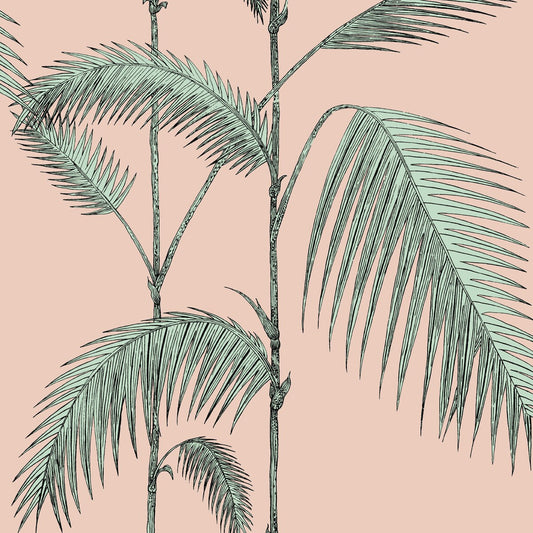 112/2005-CS PALM LEAVES PLASTER PINK/MINT COLE & SON Wallpaper