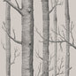 112/3009-CS WOODS LINEN/CHARCOAL COLE & SON Wallpaper