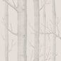 112/3011-CS WOODS PARCHMENT COLE & SON Wallpaper