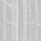 112/3012-CS WOODS GREY/WHITE COLE & SON Wallpaper