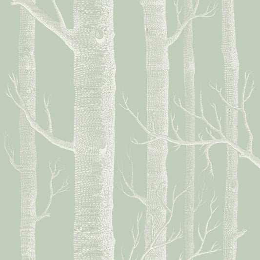 112/3013-CS WOODS OLD OLIVE COLE & SON Wallpaper