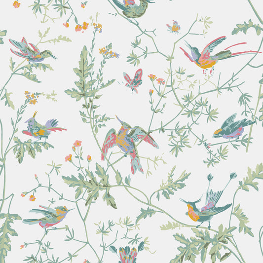 112/4016-CS HUMMINGBIRDS Pastel Cole & Son Wallpaper