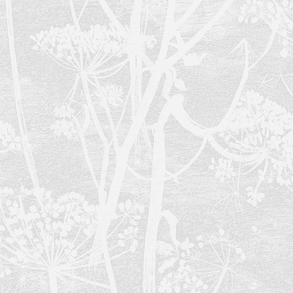 112/8027-CS COW PARSLEY White Cole & Son Wallpaper