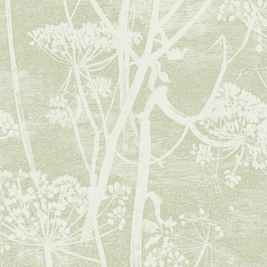 112/8029-CS COW PARSLEY Olive Cole & Son Wallpaper
