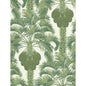 113/1004-CS HOLLYWOOD PALM Leaf Green Cole & Son Wallpaper