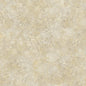 113/9025-CS PATINA HAZE SOFT GOLD COLE & SON Wallpaper