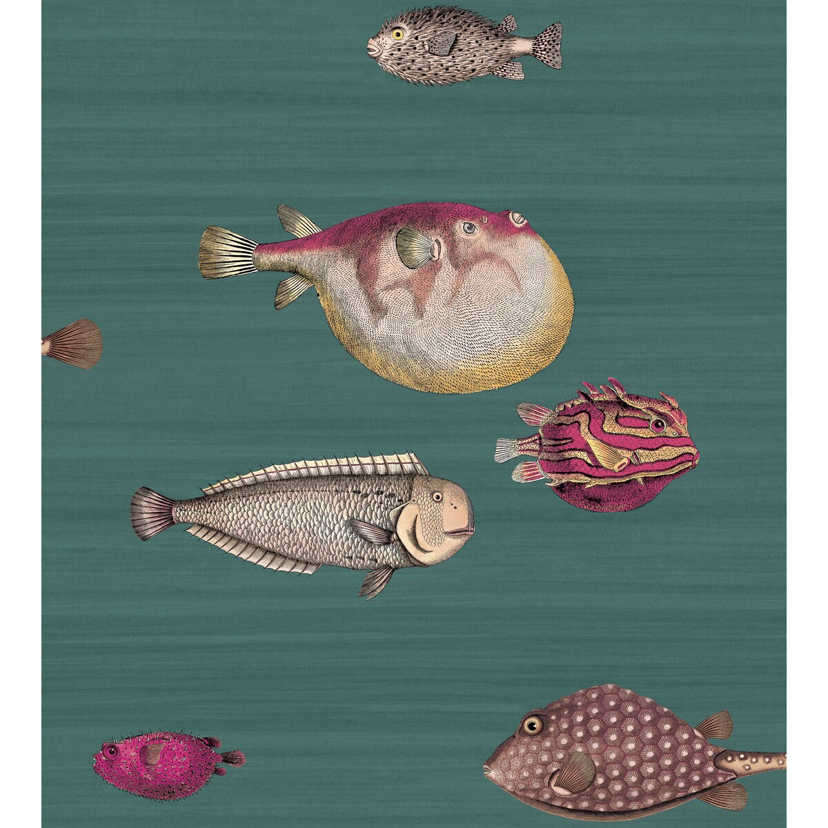 114/12024-CS ACQUARIO Viridian Cole & Son Wallpaper