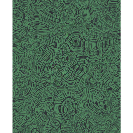 114/17035-CS MALACHITE EMERALD/BLACK COLE & SON Wallpaper