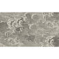114/2004-CS NUVOLETTE GILVER & CHARCOAL COLE & SON Wallpaper
