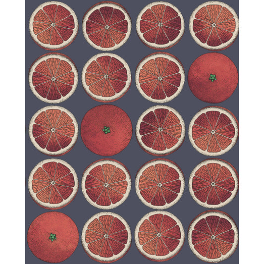 114/24046-CS ARANCE BLOOD ORANGE/INK COLE & SON Wallpaper