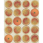 114/24047-CS ARANCE ORANGE/CREAM COLE & SON Wallpaper