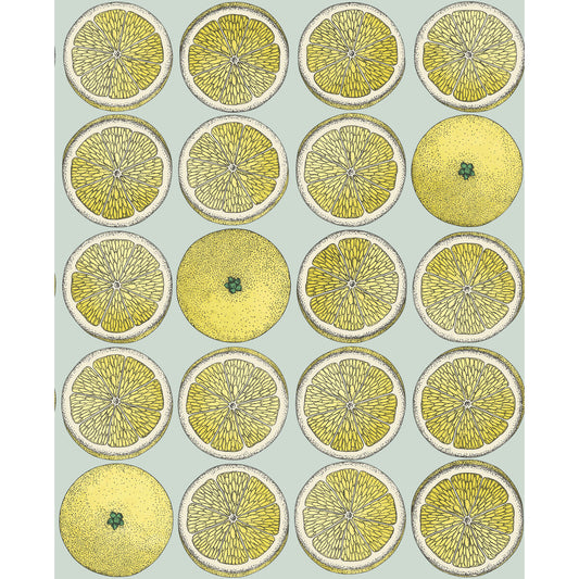 114/24048-CS ARANCE LEMON/SEAFOAM COLE & SON Wallpaper